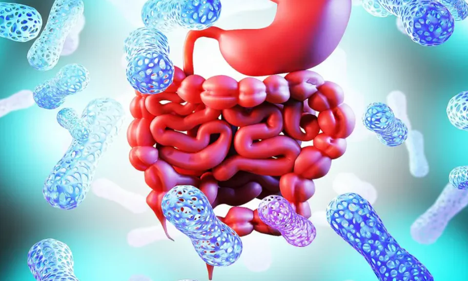 A 3D rendering depicts a stomach and intestines surrounded by numerous rod-shaped bacteria or microbes, some blue, some light blue, and one purple.
