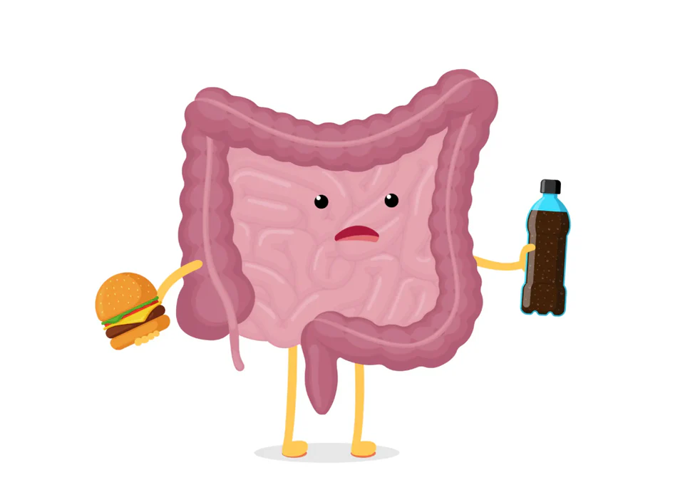 A cartoon illustration of intestines with arms and legs, looking unhappy, holding a hamburger in one hand and a soda bottle in the other.